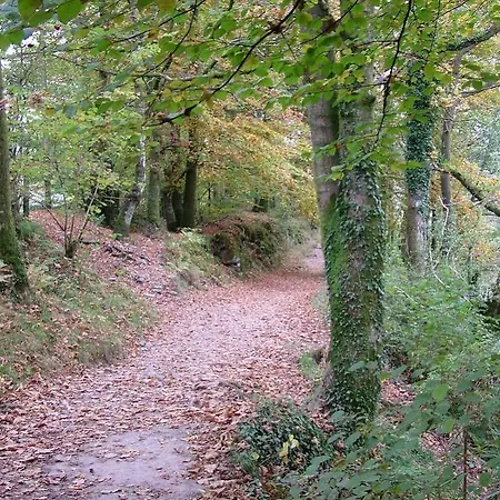 Bed & Breakfast Glencree Windermere