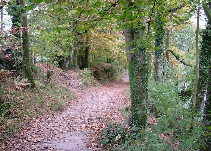 Alojamento de Acomodação e Pequeno-almoço Glencree Windermere