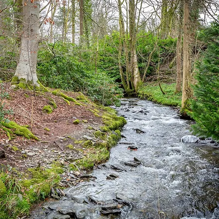 Frühstückspension Glencree 4*