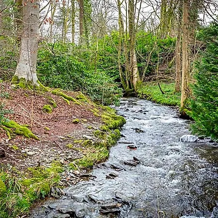 Glencree Bed & Breakfast