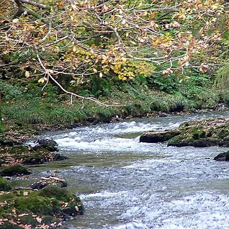Glencree Bed & Breakfast 4*