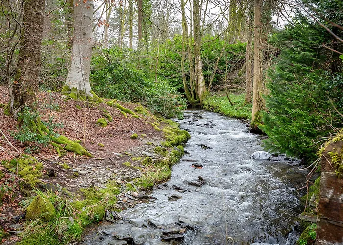 Bed & Breakfast Glencree 4*