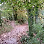 فندق مبيت وإفطار Glencree ويندرمير